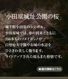 鈴廣かまぼこの里