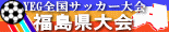 全国サッカー大会福島県大会