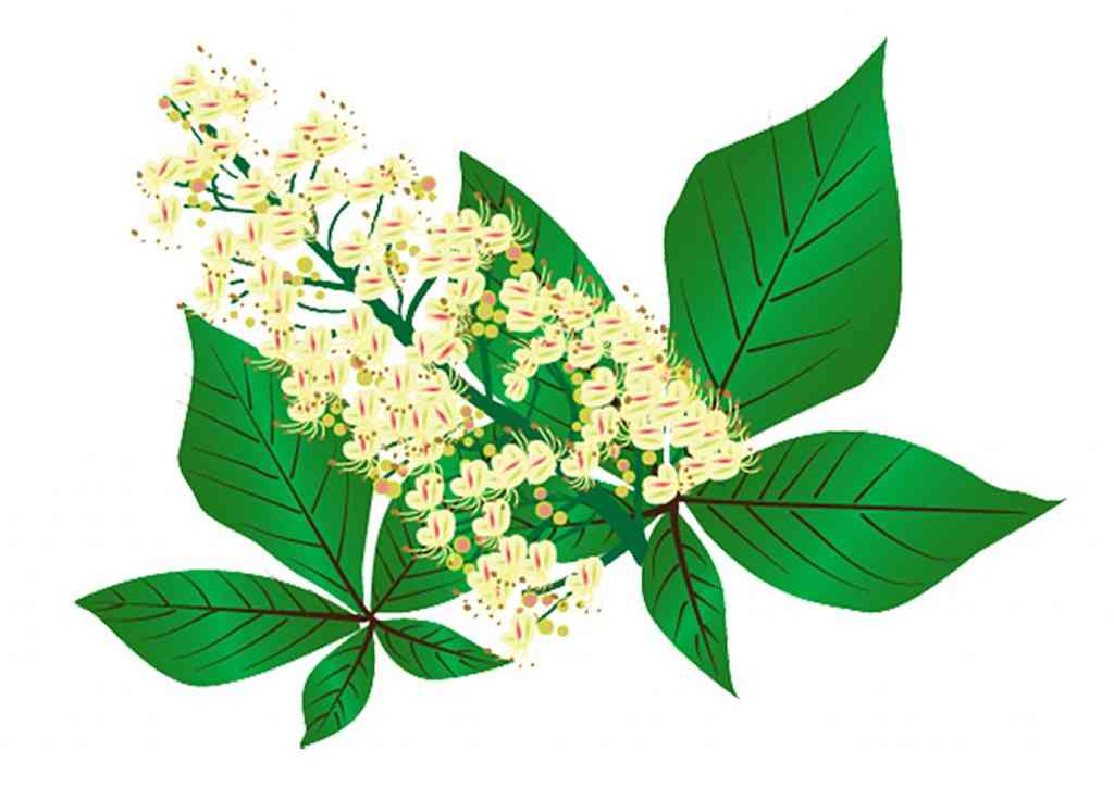 平成27年度日本YEGホームページを公開しました。