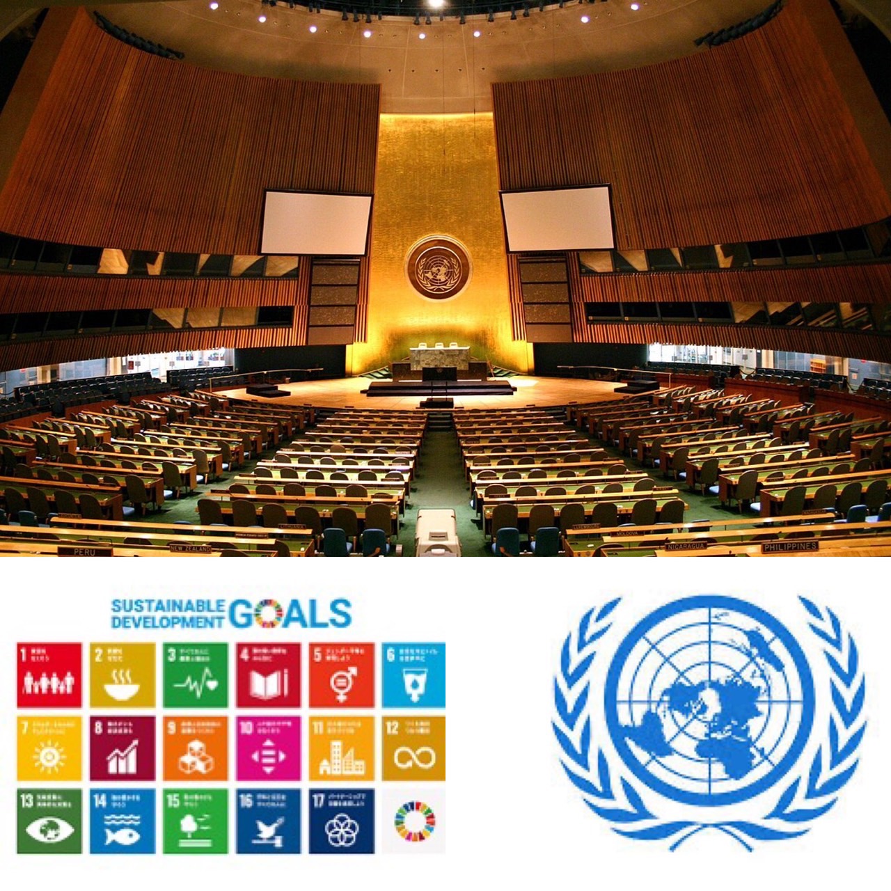 ～先駆け～日本商工会議所青年部（日本YEG）の “SDGs推進活動”について国連本部で発表